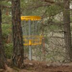 Disc golf kurv i skoven