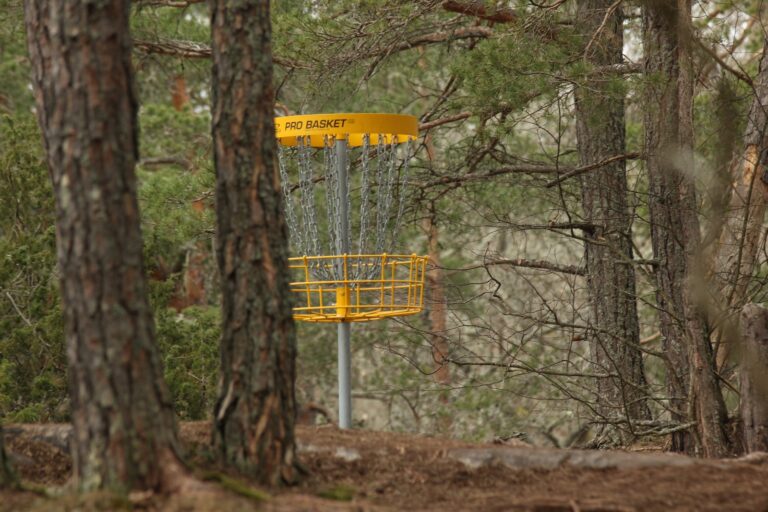 Disc golf kurv i skoven